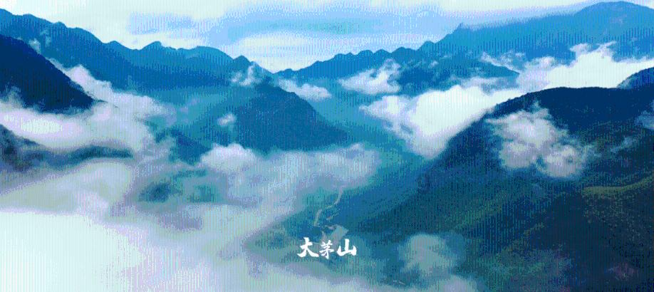 慈利县教育局：校外培训安全监管不松手